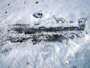 f0232920_16145416.gif