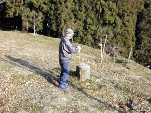 f0232920_167468.gif