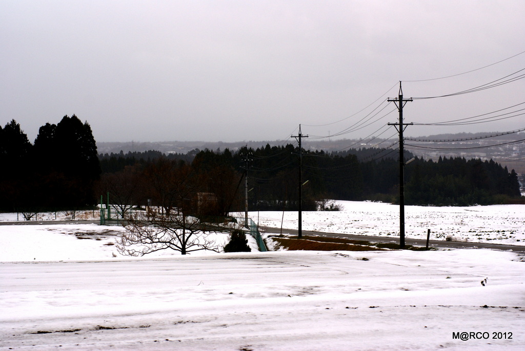 a0240721_21241023.jpg