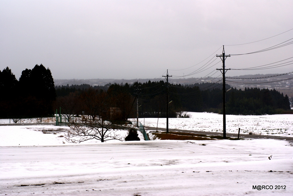 年末年始 2011-2012 @ 石川_a0240721_21241023.jpg