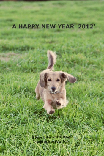 謹賀新年 2012’_e0191026_21355733.jpg
