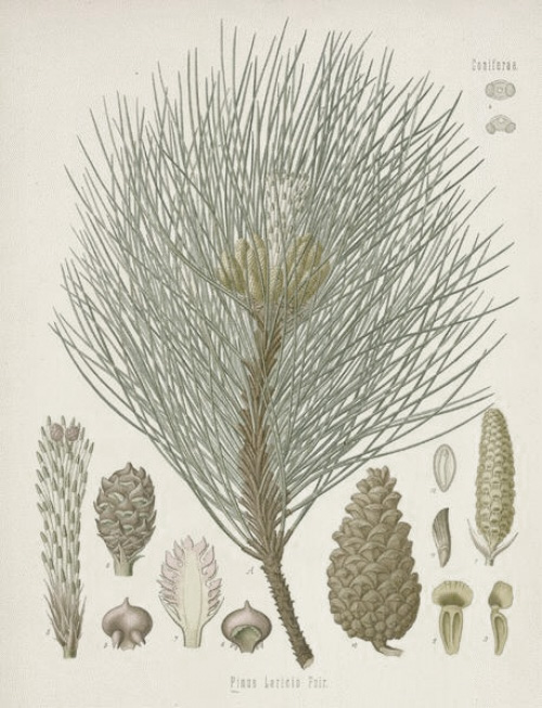 c0181929_225656.jpg