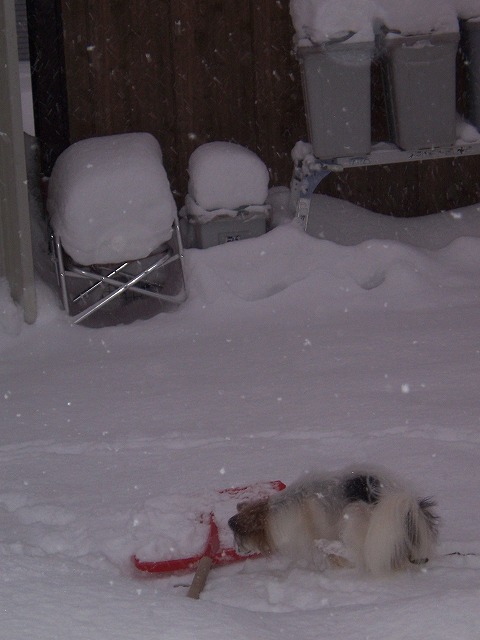 c0048940_15553037.jpg