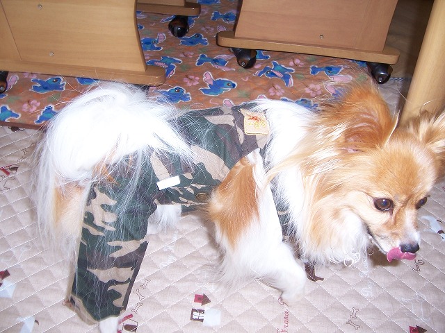 c0048940_156408.jpg