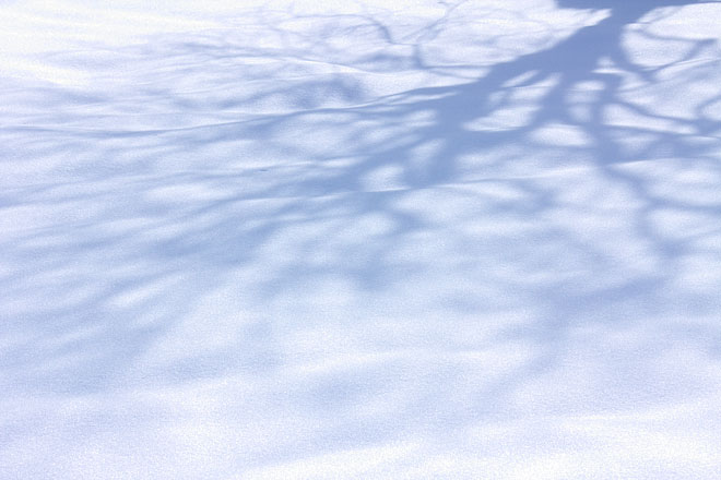 c0067040_20245414.jpg