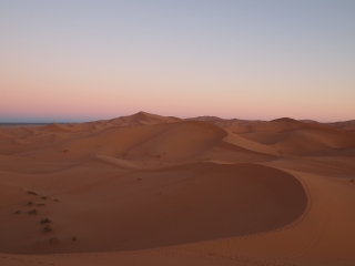 砂漠で初日の出♪_d0158245_6501465.jpg