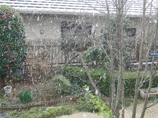 b0181748_20184351.jpg