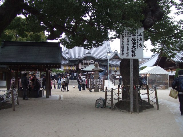 Abiko Kannon Temple for New Year_e0046748_2225264.jpg