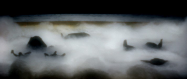 b0202651_22362149.jpg