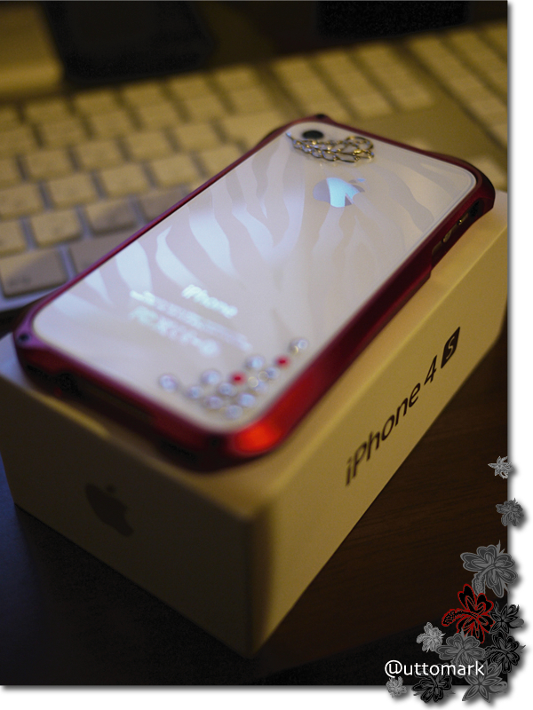 A Happy New year_e0245555_12690.jpg