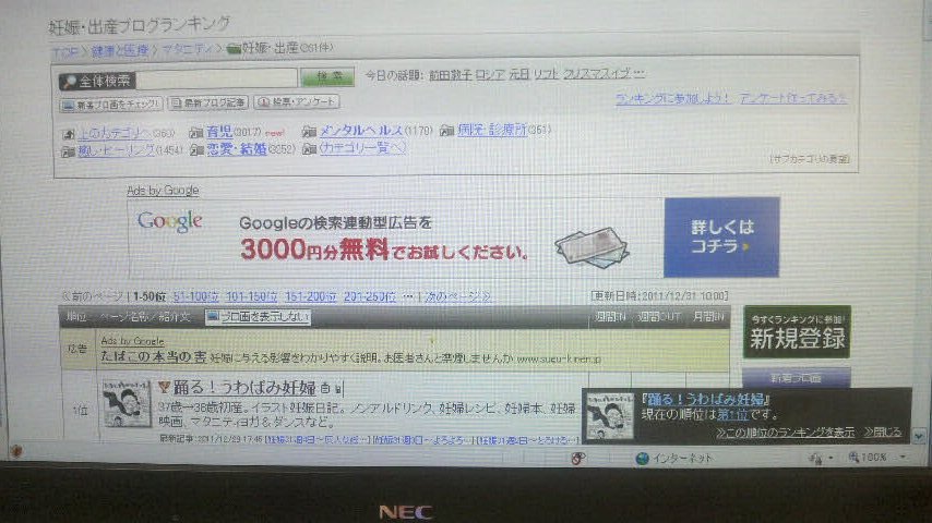 ３女が東京へ帰り正月が終わつた。妊娠出産ブログランキング１位に遂に来た。踊るうわばみ妊婦。_e0082956_771767.jpg