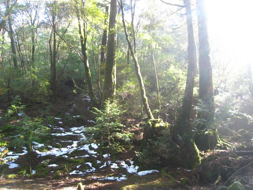 b0160957_14373574.jpg
