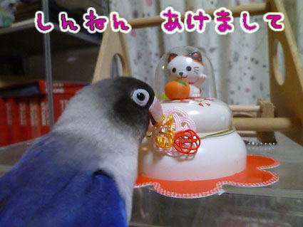 あけおめコトよろ_e0147757_23251375.jpg