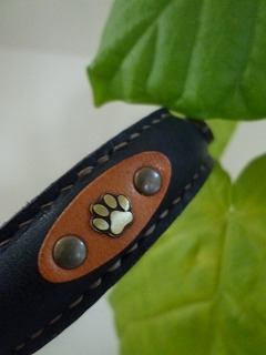 dog goods オーダーメイドのカラー&リード♪_a0165160_7413553.jpg