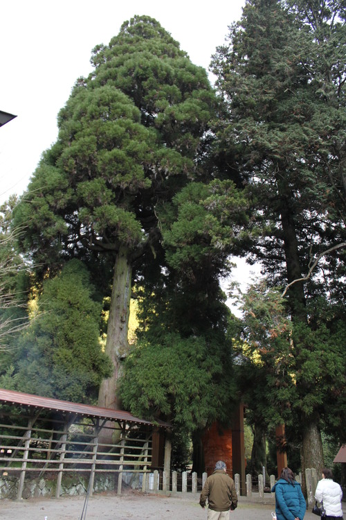 a0193460_11734.jpg