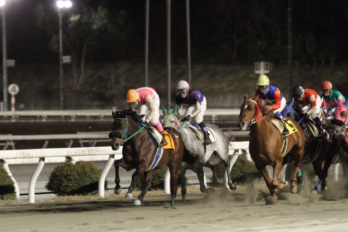 2011年12月31日（土） 高知競馬 8R 22番藤川球児協賛 頑張れ高知FD特別 A-3_a0077663_18453637.jpg