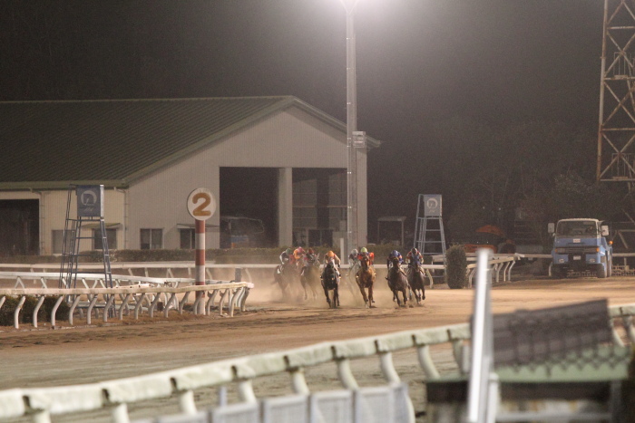 2011年12月31日（土） 高知競馬 8R 22番藤川球児協賛 頑張れ高知FD特別 A-3_a0077663_18454469.jpg