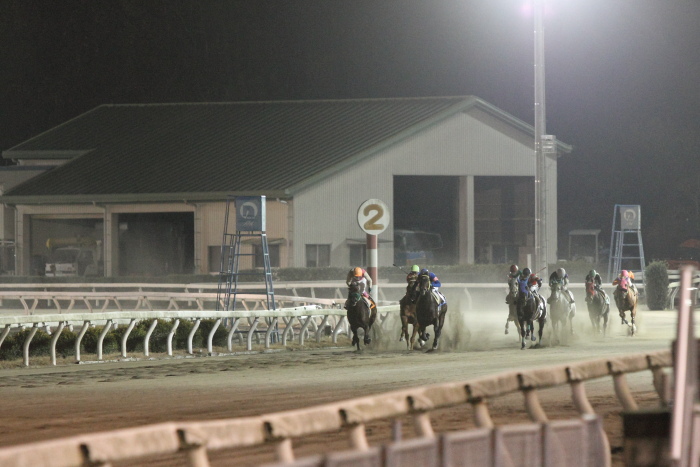 2011年12月31日（土） 高知競馬 8R 22番藤川球児協賛 頑張れ高知FD特別 A-3_a0077663_18455312.jpg