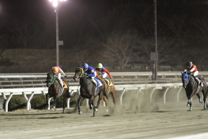 2011年12月31日（土） 高知競馬 8R 22番藤川球児協賛 頑張れ高知FD特別 A-3_a0077663_1846425.jpg