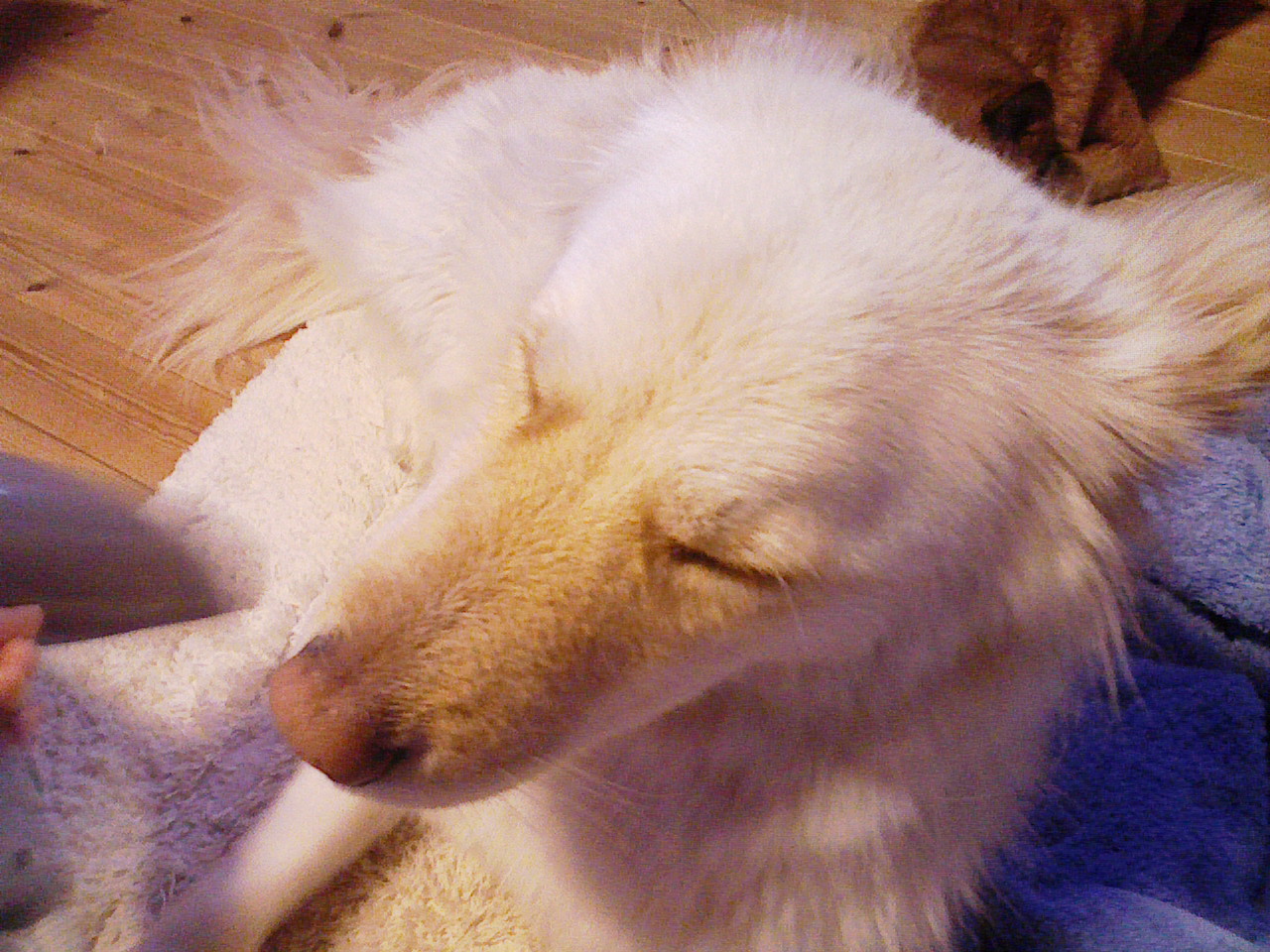 c0201967_19281569.jpg