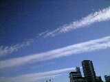 f0061674_1753354.jpg