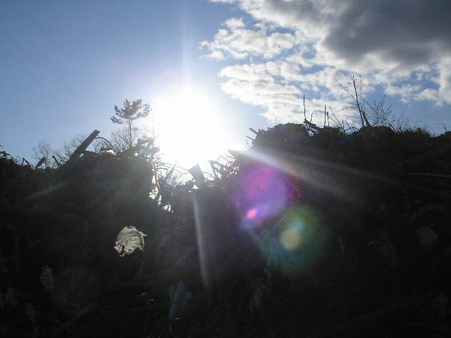 b0192980_2110551.jpg