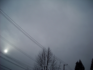f0183480_9534843.jpg