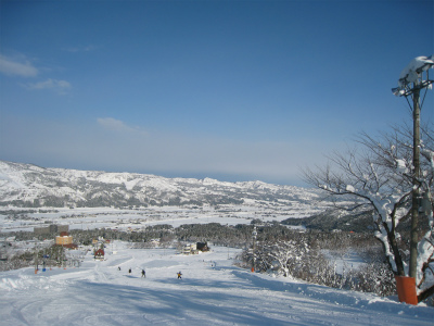 a0038882_89534.jpg