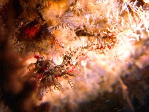 b0184283_166439.jpg