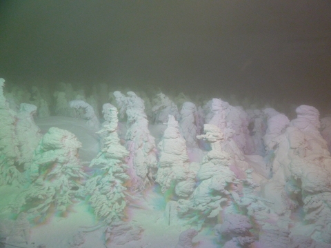 b0127486_17412246.jpg