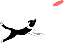 b0101991_13175029.gif