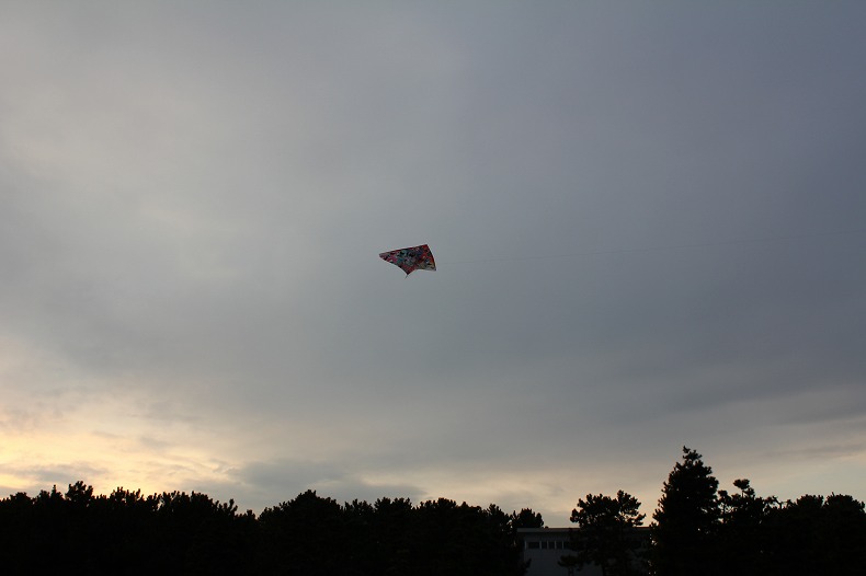 c0204298_12323430.jpg