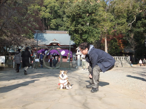 日本の　平和を祈る　初詣_f0101201_23231751.jpg