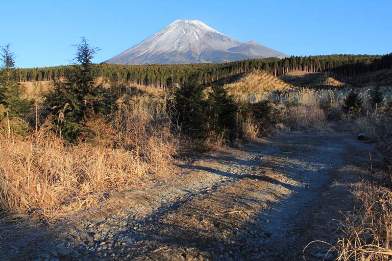a0188405_10424577.jpg