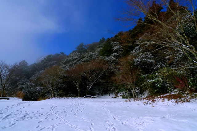 a0097006_23554445.jpg