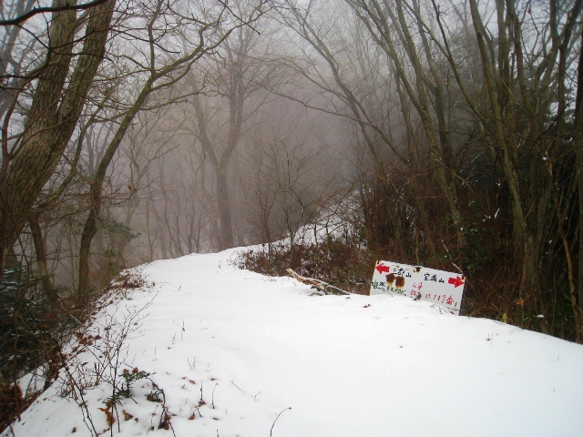 a0097006_23584629.jpg