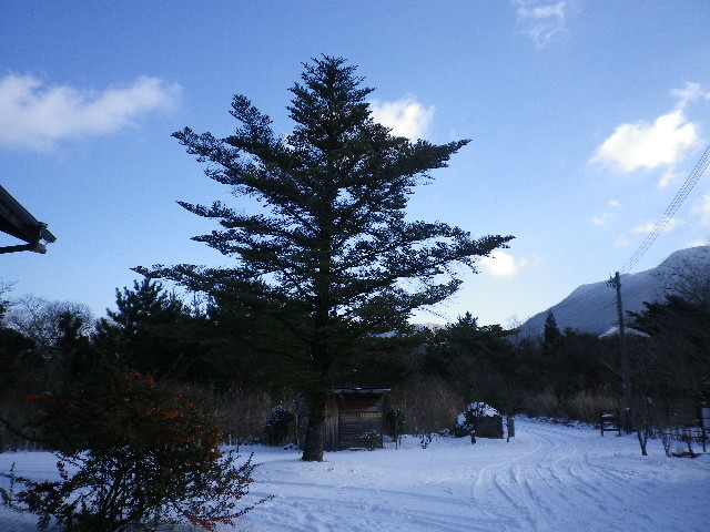 晴れています。_e0179508_941333.jpg