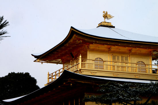 雪の金閣寺_e0048413_21444733.jpg