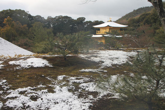 雪の金閣寺_e0048413_2145257.jpg