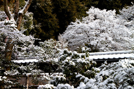 雪の金閣寺_e0048413_21453369.jpg