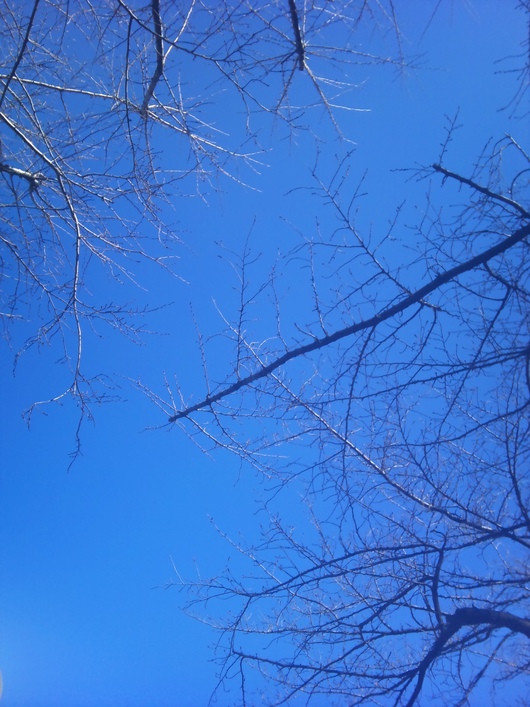 a0103914_13282250.jpg