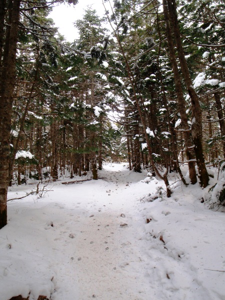 お正月登山 南八ヶ岳縦走-阿弥陀岳へ_c0177814_19113346.jpg