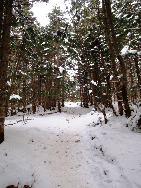 お正月登山　南八ヶ岳縦走－阿弥陀岳へ_c0177814_19113346.jpg