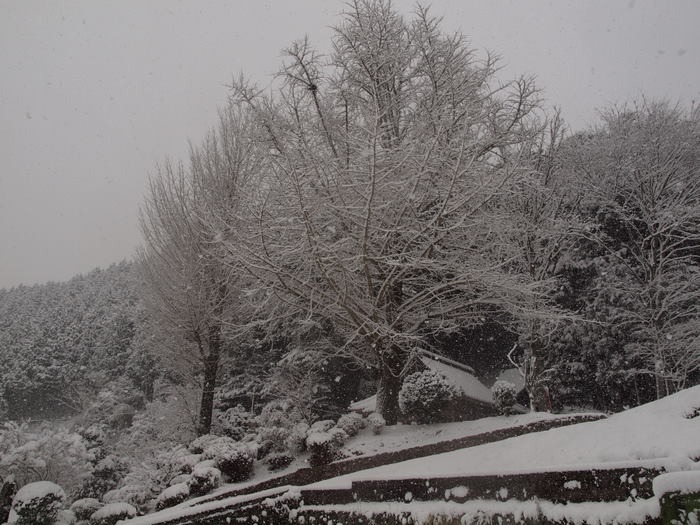 雪景色の客人神社など。。_c0116915_0334472.jpg