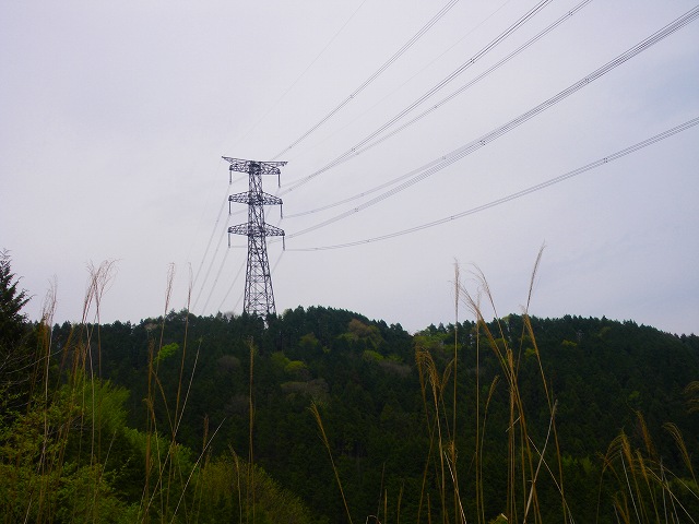 岩かぶと沢林道6-⑤_a0243317_21111789.jpg