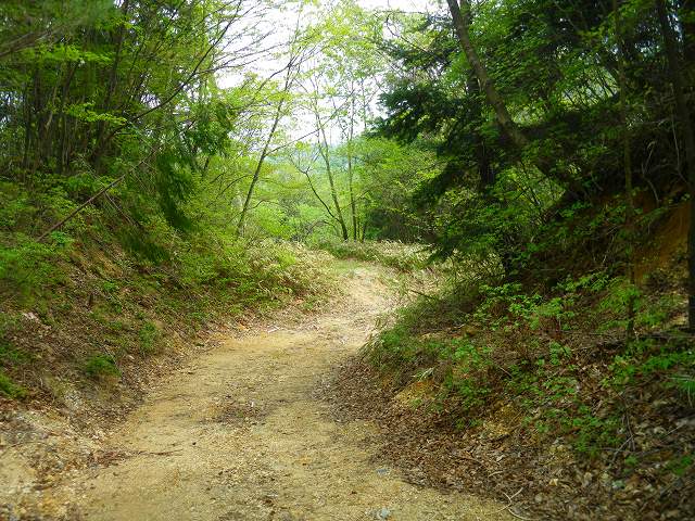 a0243317_2112726.jpg