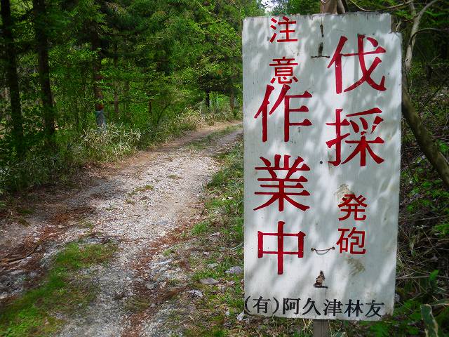 a0243317_21422236.jpg