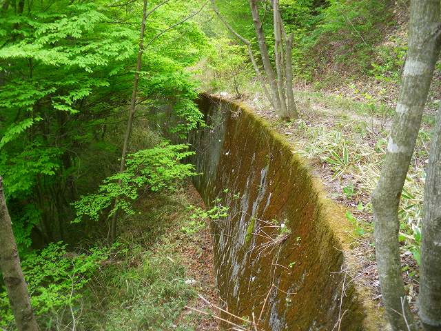 a0243317_215183.jpg