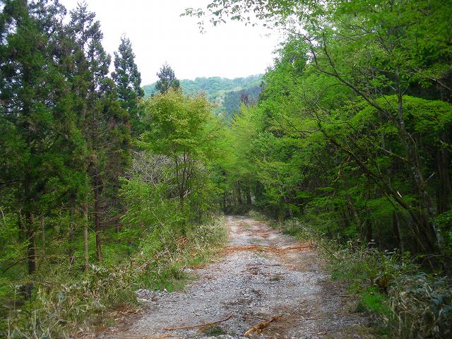a0243317_21553121.jpg