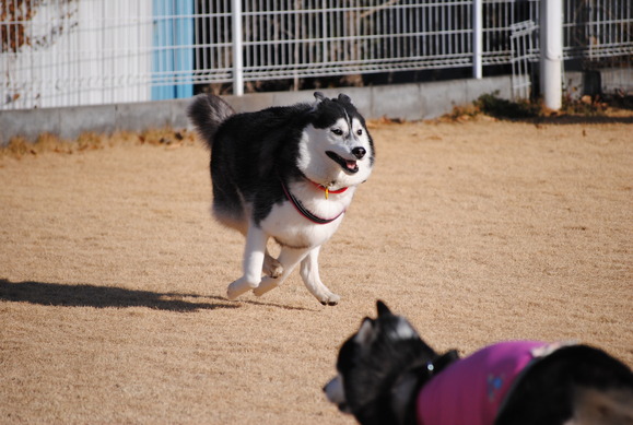 a0226620_14133626.jpg